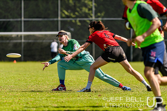 DiscFlicker Mixed Tournament