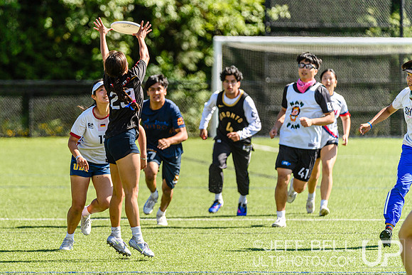 DiscFlicker Mixed Tournament
