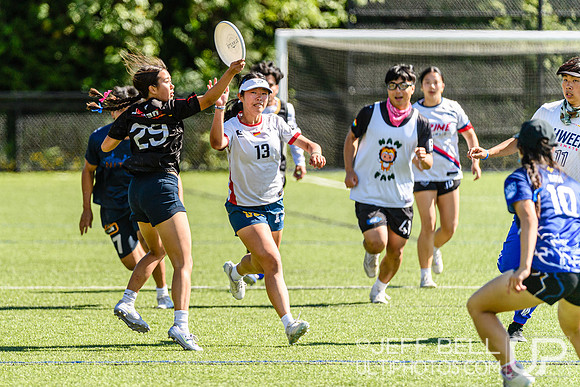 DiscFlicker Mixed Tournament