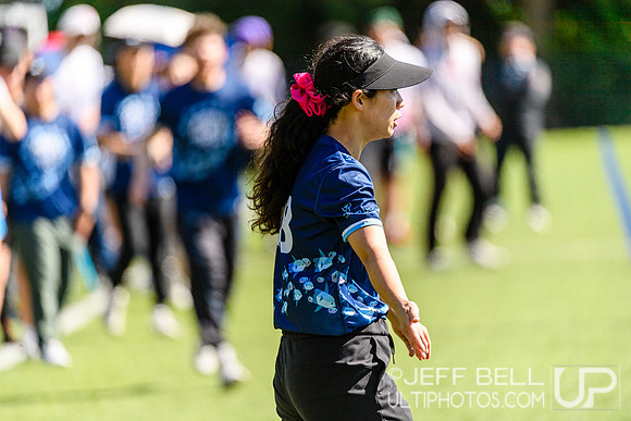 DiscFlicker Mixed Tournament
