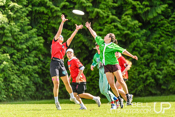 DiscFlicker Mixed Tournament