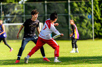 DiscFlicker Mixed Tournament