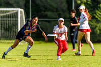 DiscFlicker Mixed Tournament