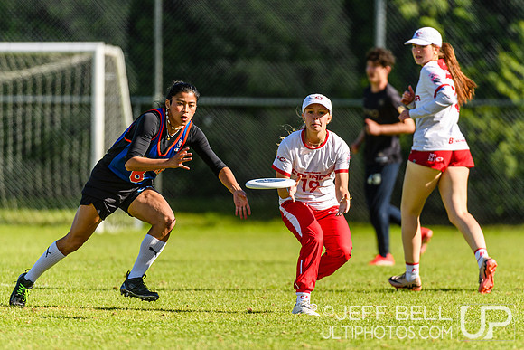 DiscFlicker Mixed Tournament