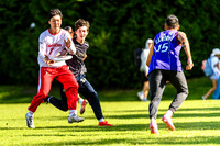DiscFlicker Mixed Tournament