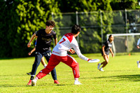DiscFlicker Mixed Tournament