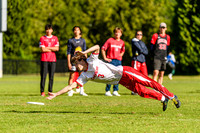 DiscFlicker Mixed Tournament