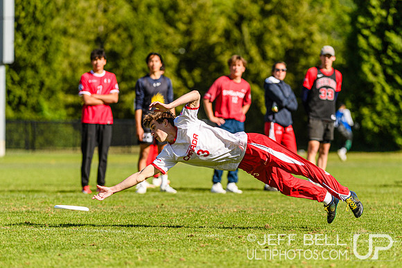 DiscFlicker Mixed Tournament