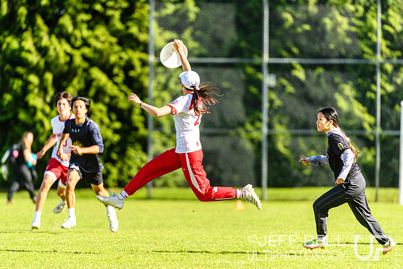 DiscFlicker Mixed Tournament