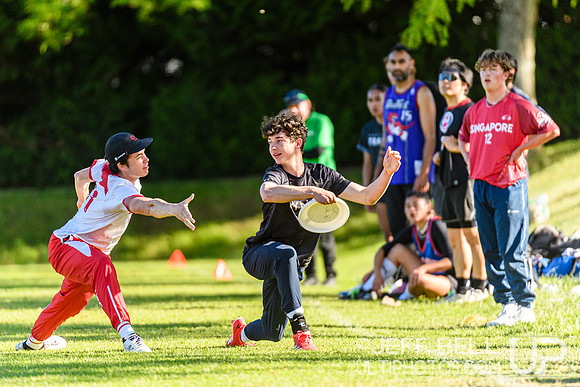 DiscFlicker Mixed Tournament