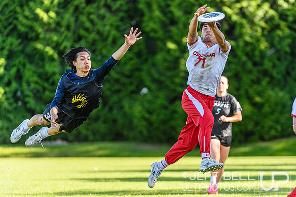 DiscFlicker Mixed Tournament