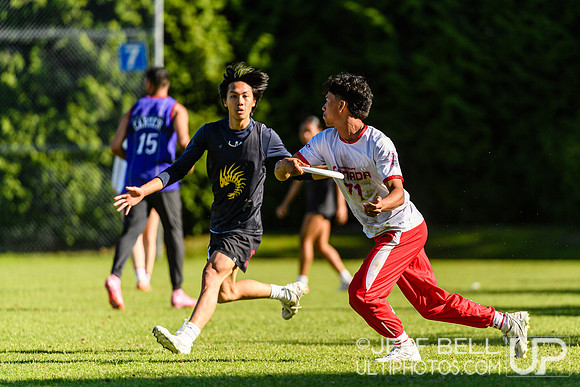 DiscFlicker Mixed Tournament