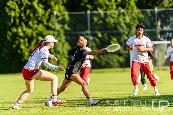 DiscFlicker Mixed Tournament