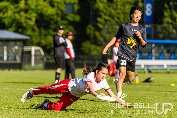 DiscFlicker Mixed Tournament