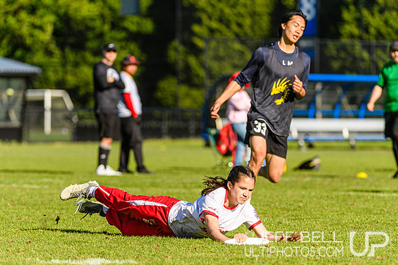 DiscFlicker Mixed Tournament