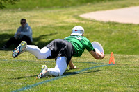 Oregon Ego v GT Tribe - Sat R3 - 2026 D1 College Champs