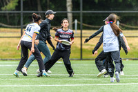DiscFlicker Mixed Tournament