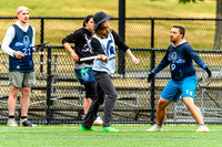 DiscFlicker Mixed Tournament