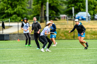 DiscFlicker Mixed Tournament