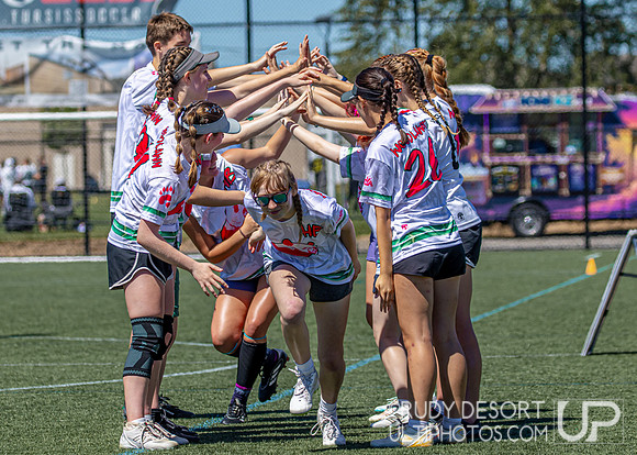 2026 USA Ultimate Division I College Championships
