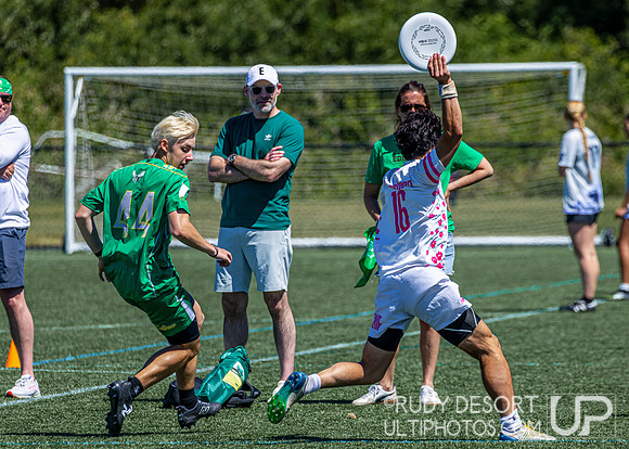 2026 USA Ultimate Division I College Championships