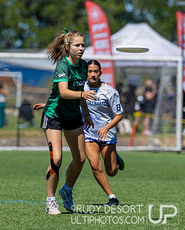 2026 USA Ultimate Division I College Championships