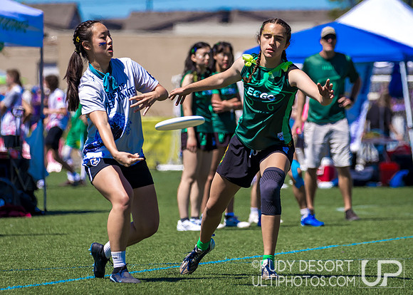2026 USA Ultimate Division I College Championships
