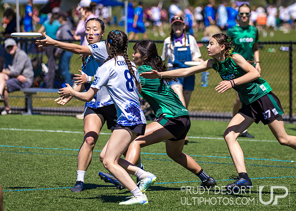 2026 USA Ultimate Division I College Championships