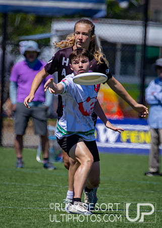2026 USA Ultimate Division I College Championships