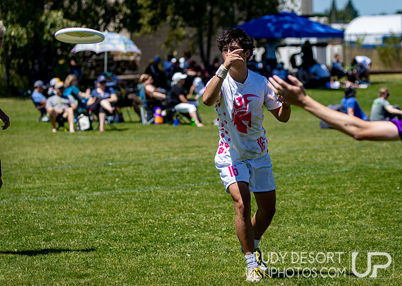 2026 USA Ultimate Division I College Championships