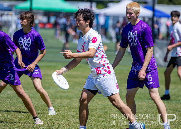2026 USA Ultimate Division I College Championships