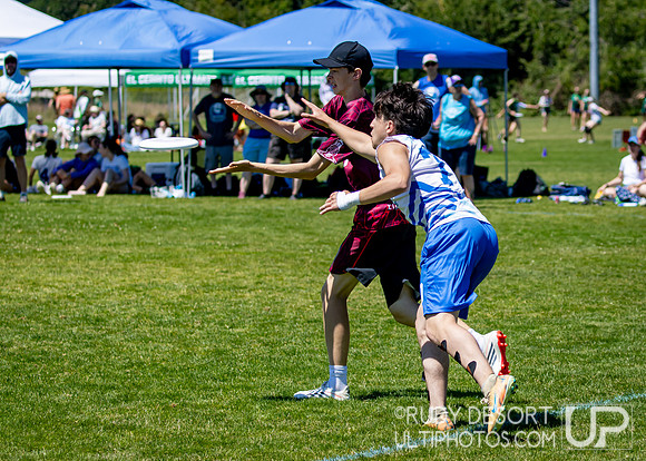 2026 USA Ultimate Division I College Championships