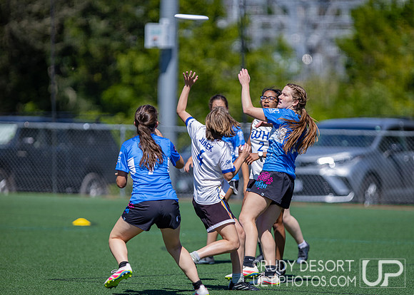 2026 USA Ultimate Division I College Championships