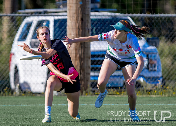 2026 USA Ultimate Division I College Championships
