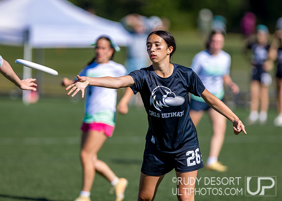 2026 USA Ultimate Division I College Championships