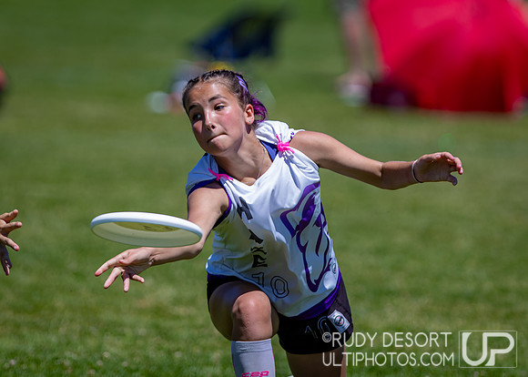 2026 USA Ultimate Division I College Championships