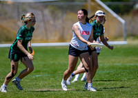 2026 USA Ultimate Division I College Championships
