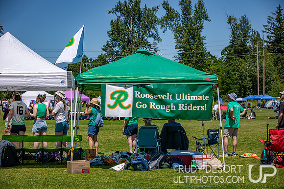 2026 USA Ultimate Division I College Championships