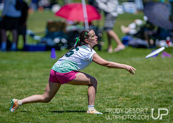 2026 USA Ultimate Division I College Championships