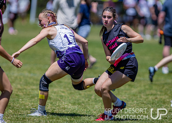 2026 USA Ultimate Division I College Championships