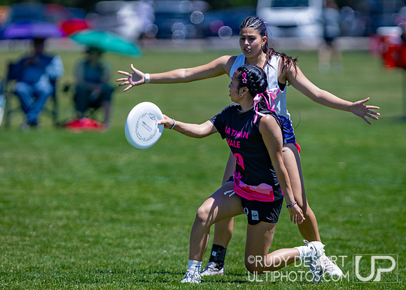2026 USA Ultimate Division I College Championships