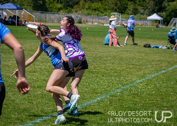 2026 USA Ultimate Division I College Championships