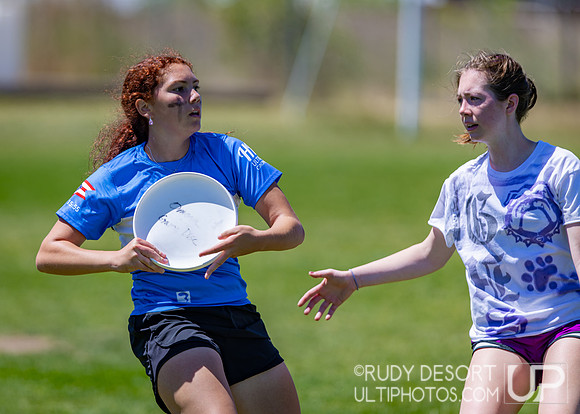 2026 USA Ultimate Division I College Championships