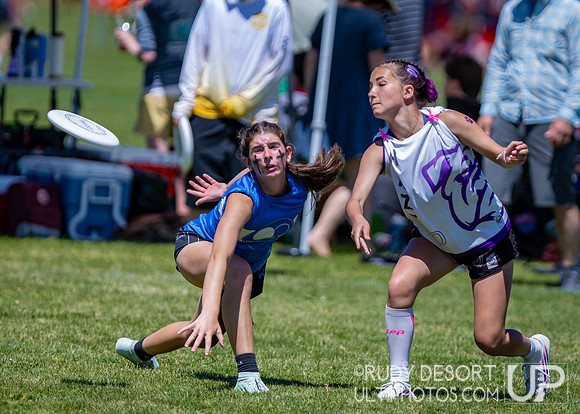2026 USA Ultimate Division I College Championships
