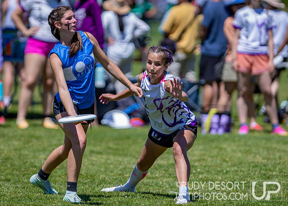 2026 USA Ultimate Division I College Championships