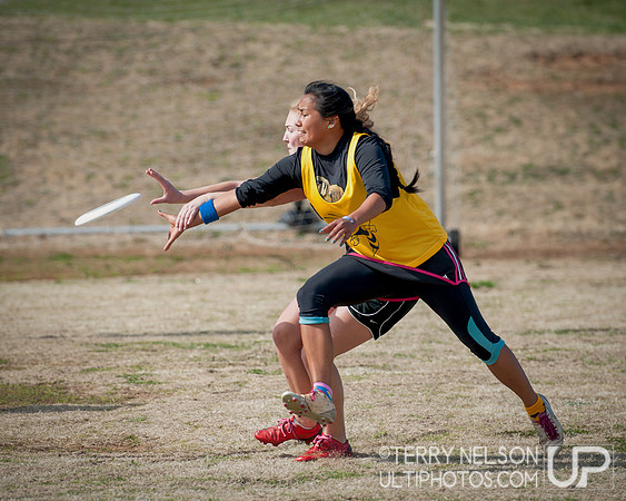 Saturday - 2013 Freaknik Ultimate Tournament