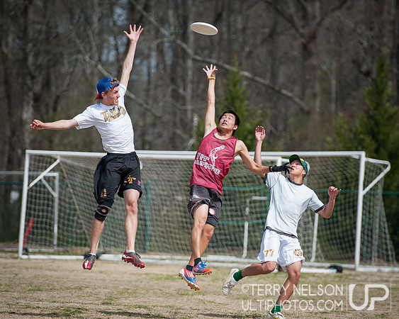 Saturday - 2013 Freaknik Ultimate Tournament