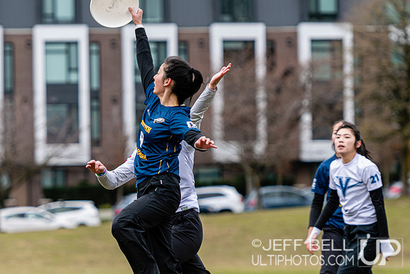 dogwood_bowl_jbp_113415_20230225