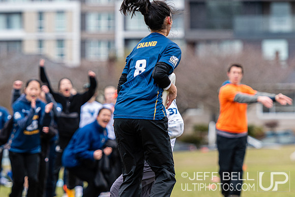 dogwood_bowl_jbp_111356_20230225