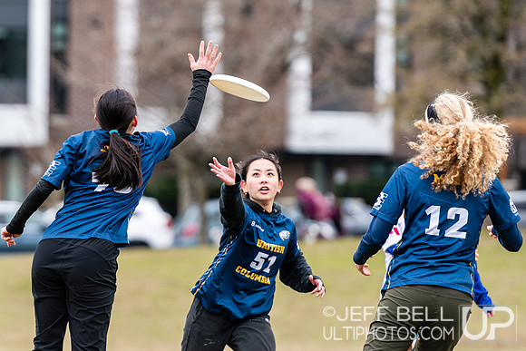 dogwood_bowl_jbp_111636_20230225